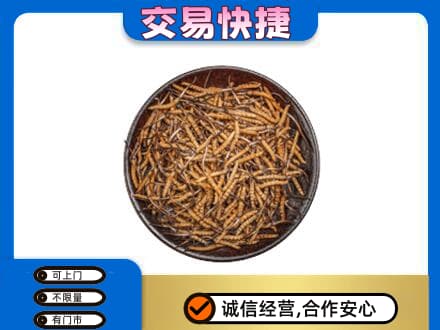 邯郸磁县回收散虫草